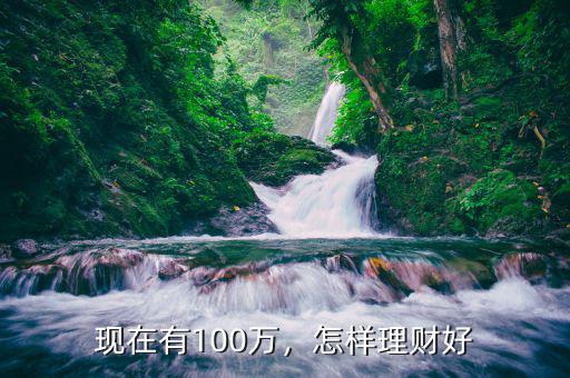 現(xiàn)在有100萬，怎樣理財好