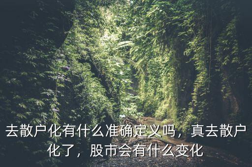 去散戶化有什么準(zhǔn)確定義嗎，真去散戶化了，股市會(huì)有什么變化