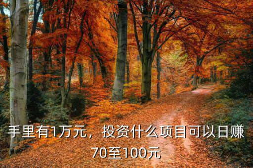 手里有1萬元，投資什么項(xiàng)目可以日賺70至100元