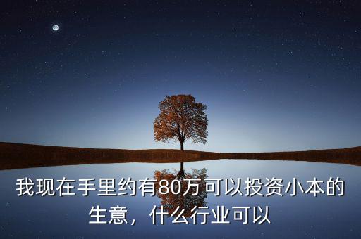 我現(xiàn)在手里約有80萬可以投資小本的生意，什么行業(yè)可以