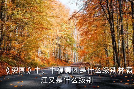 央企都是什么級(jí)別,林滿(mǎn)江又是什么級(jí)別