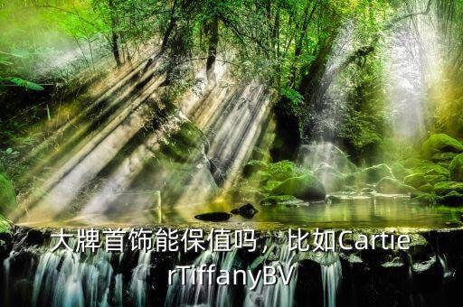 大牌首飾能保值嗎，比如CartierTiffanyBV