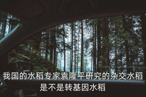 我國的水稻專家袁隆平研究的雜交水稻是不是轉(zhuǎn)基因水稻