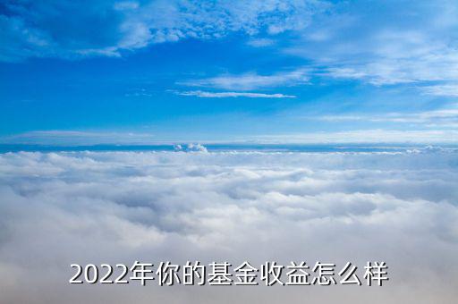 2022年你的基金收益怎么樣