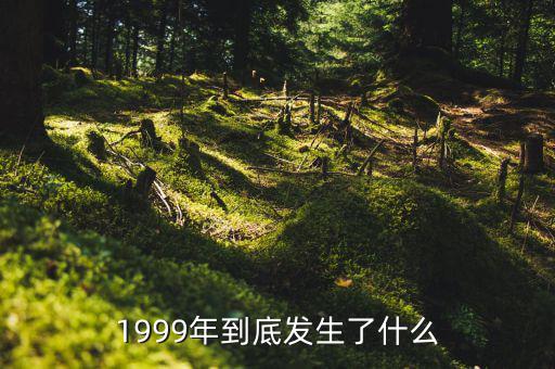 1998年發(fā)生了什么,究竟發(fā)生了什么