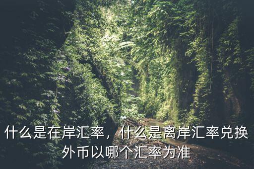 什么是在岸匯率，什么是離岸匯率兌換外幣以哪個(gè)匯率為準(zhǔn)