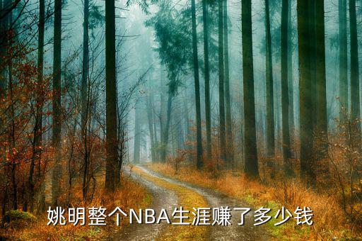 姚明整個NBA生涯賺了多少錢