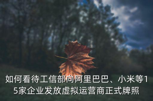 如何看待工信部向阿里巴巴、小米等15家企業(yè)發(fā)放虛擬運營商正式牌照