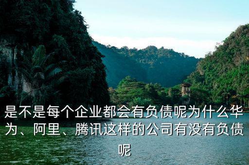 是不是每個企業(yè)都會有負債呢為什么華為、阿里、騰訊這樣的公司有沒有負債呢