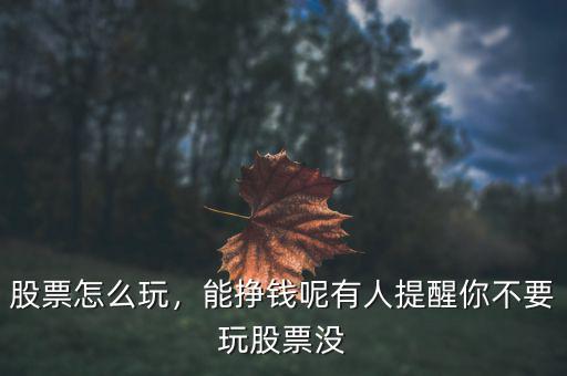 股票怎么玩，能掙錢呢有人提醒你不要玩股票沒