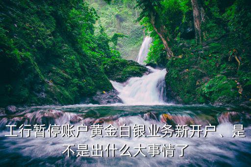 工行暫停賬戶黃金白銀業(yè)務新開戶、是不是出什么大事情了