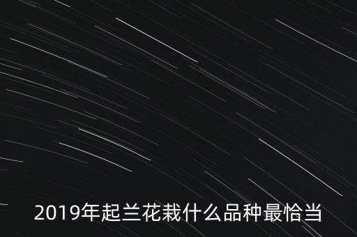 2016年投資什么蘭花好,蘭花什么時候引種好