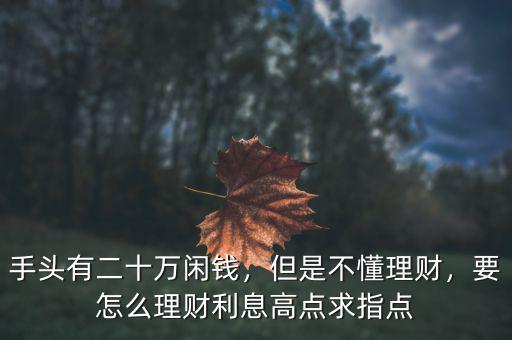 手頭有二十萬閑錢，但是不懂理財，要怎么理財利息高點求指點