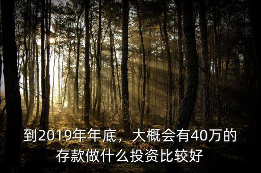 到2019年年底，大概會有40萬的存款做什么投資比較好