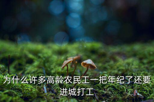 為什么許多高齡農(nóng)民工一把年紀(jì)了還要進城打工