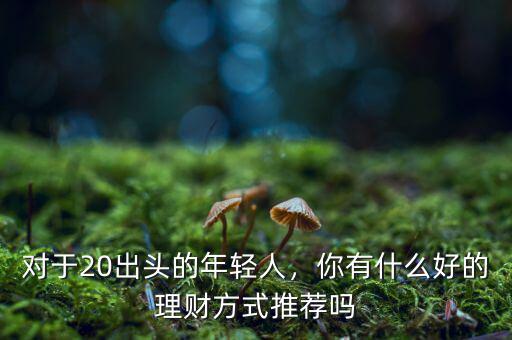 對(duì)于20出頭的年輕人，你有什么好的理財(cái)方式推薦嗎