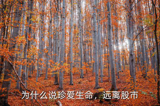 為什么說珍愛生命，遠(yuǎn)離股市