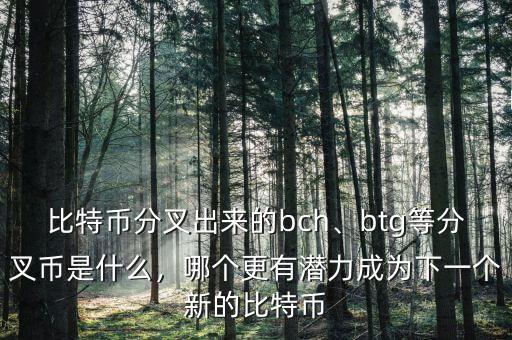 比特幣分叉出來的bch、btg等分叉幣是什么，哪個更有潛力成為下一個新的比特幣