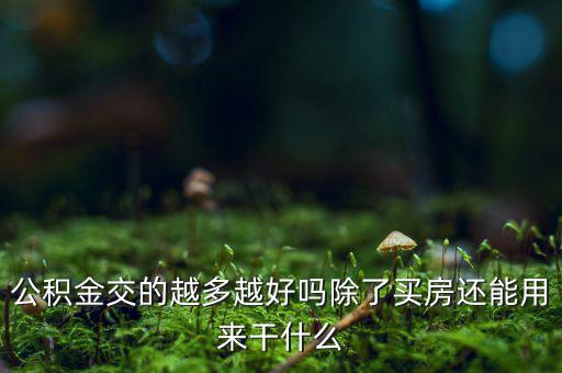 公積金交的越多越好嗎除了買(mǎi)房還能用來(lái)干什么