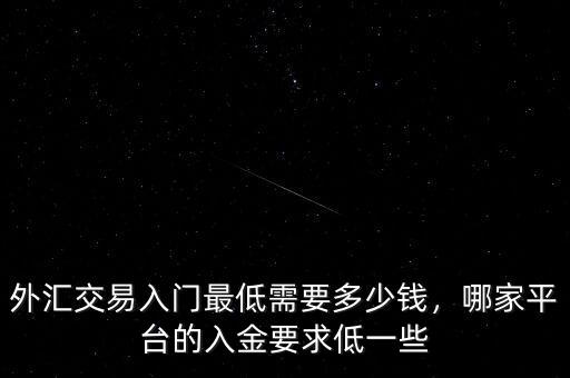 外匯交易入門最低需要多少錢，哪家平臺的入金要求低一些