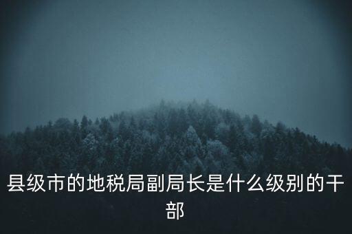 縣級市的地稅局副局長是什么級別的干部