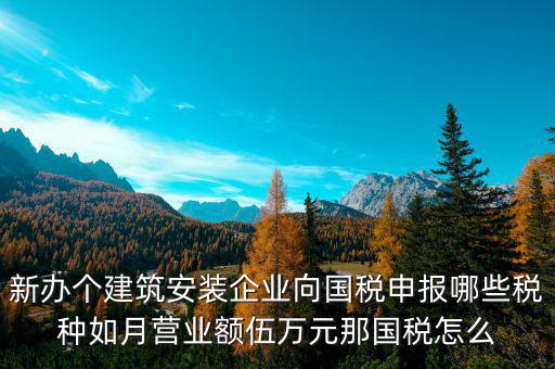 新辦個(gè)建筑安裝企業(yè)向國(guó)稅申報(bào)哪些稅種如月營(yíng)業(yè)額伍萬元那國(guó)稅怎么