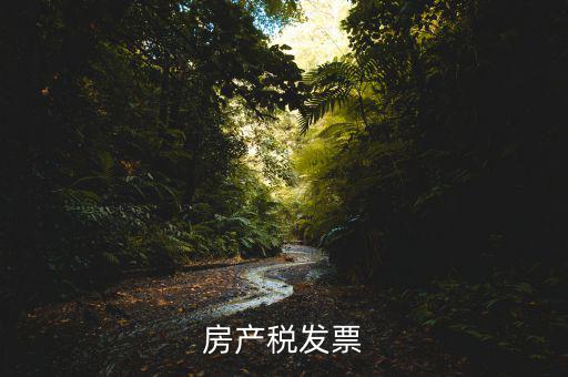 房產(chǎn)稅發(fā)票