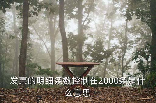 發(fā)票明細什么意思，發(fā)票的明細條數(shù)控制在2000條是什么意思