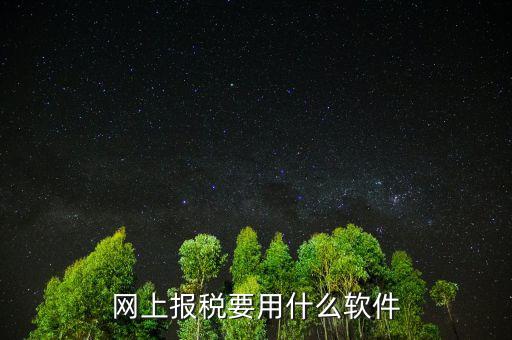 網(wǎng)上報稅下載什么軟件，深圳etax網(wǎng)上報稅軟件哪里下載