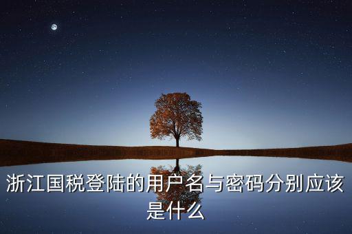 浙江省網(wǎng)上稅務(wù)局賬號是什么，電子稅務(wù)局賬號是什么號碼