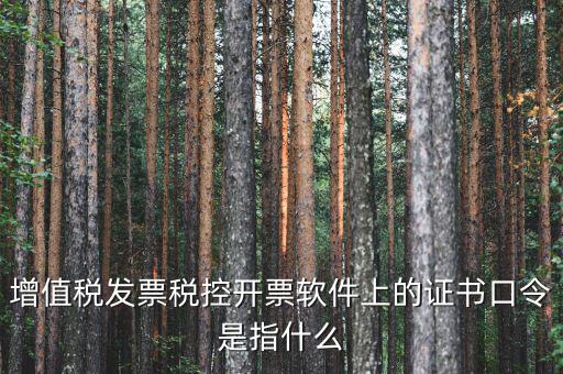 增值稅發(fā)票稅控開票軟件上的證書口令是指什么