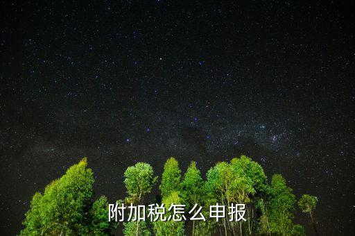 附加稅怎么申報