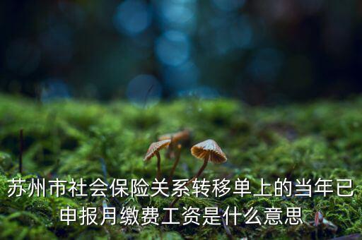 社保已申報是什么意思，新手求助請問網(wǎng)上申報是什么意思