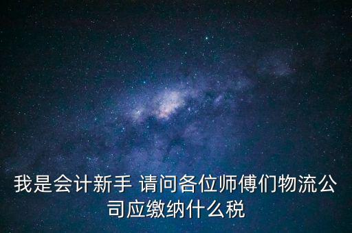 我是會計(jì)新手 請問各位師傅們物流公司應(yīng)繳納什么稅