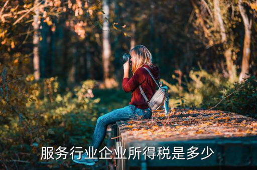 什么是接受服務(wù)企業(yè)所得稅，服務(wù)行業(yè)企業(yè)所得稅是多少