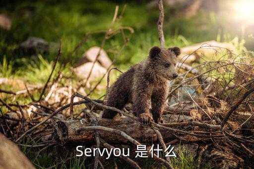 servyou是什么意思，Servyou 是什么