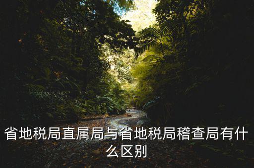 什么是地稅直屬局，國家稅務(wù)局直屬稅務(wù)分局是什么意思