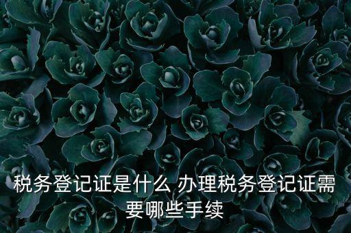 地稅局登記是什么，地稅辦理稅務(wù)登記需要哪些資料