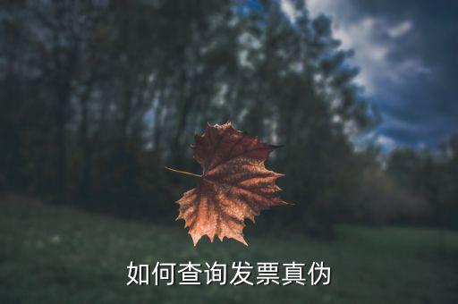 查驗(yàn)發(fā)票需要什么信息，發(fā)票怎么去稅務(wù)局驗(yàn)證需要什么資料