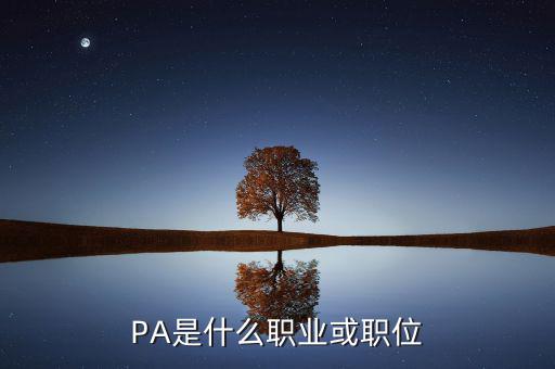 河南省國(guó)稅局陳紅偉什么職務(wù)，PA是什么職業(yè)或職位