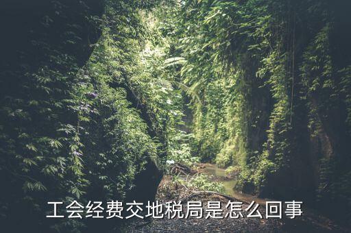 工會經(jīng)費(fèi)交地稅局是怎么回事