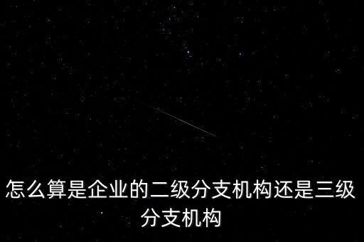 什么叫企業(yè)二級分支機構，現(xiàn)在分公司要辦稅務登記證但是我想問一下二級分機構指的是