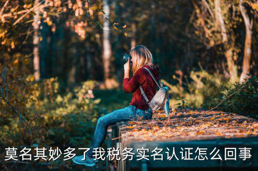 莫名其妙多了我稅務(wù)實名認證怎么回事