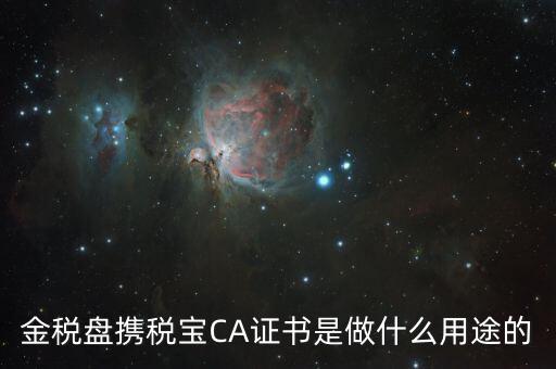 稅友的ca是什么，什么是稅務局的CA證書