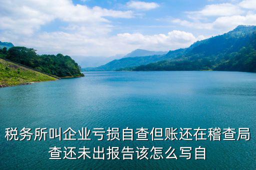 稅務所叫企業(yè)虧損自查但賬還在稽查局查還未出報告該怎么寫自