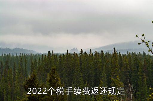 個稅返手續(xù)費什么時間，退個稅手續(xù)費2022年新規(guī)定