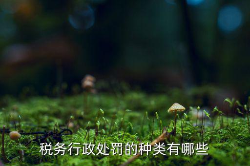 涉稅行政處罰包括什么，什么叫稅務(wù)行政處罰當(dāng)事人