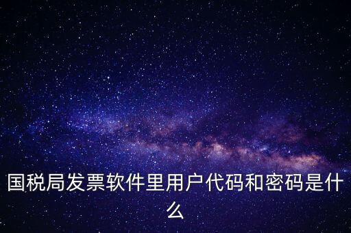 國稅局發(fā)票軟件里用戶代碼和密碼是什么