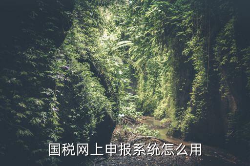 國稅網(wǎng)上申報(bào)系統(tǒng)怎么用