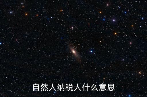 登記稅務(wù)的自然人是什么意思，請問一下自然人登記是什么意思